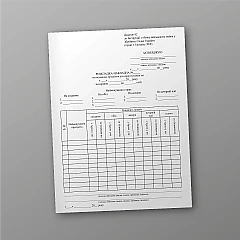 Журналы - Раскладка-накладная на выдачу продуктов для приготовления пищи